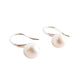 Real Freshwater Pearl Drop Hook Earrings